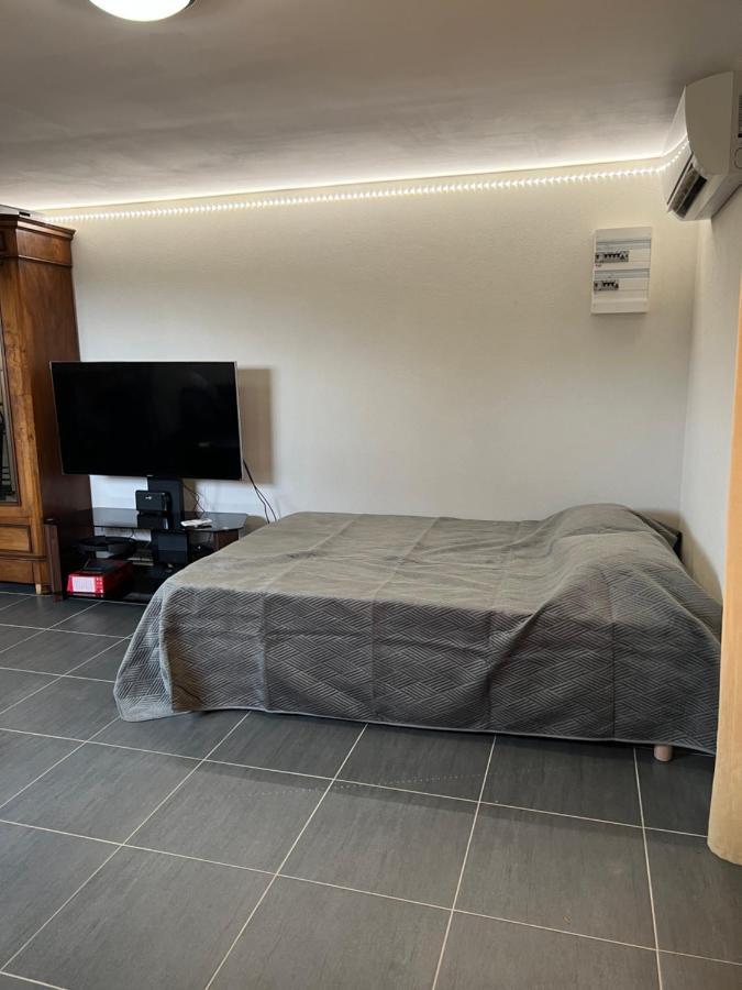 Studio Cosy Avec Grand Jardin Privatif Oasis Provencale A Taradeau Экстерьер фото
